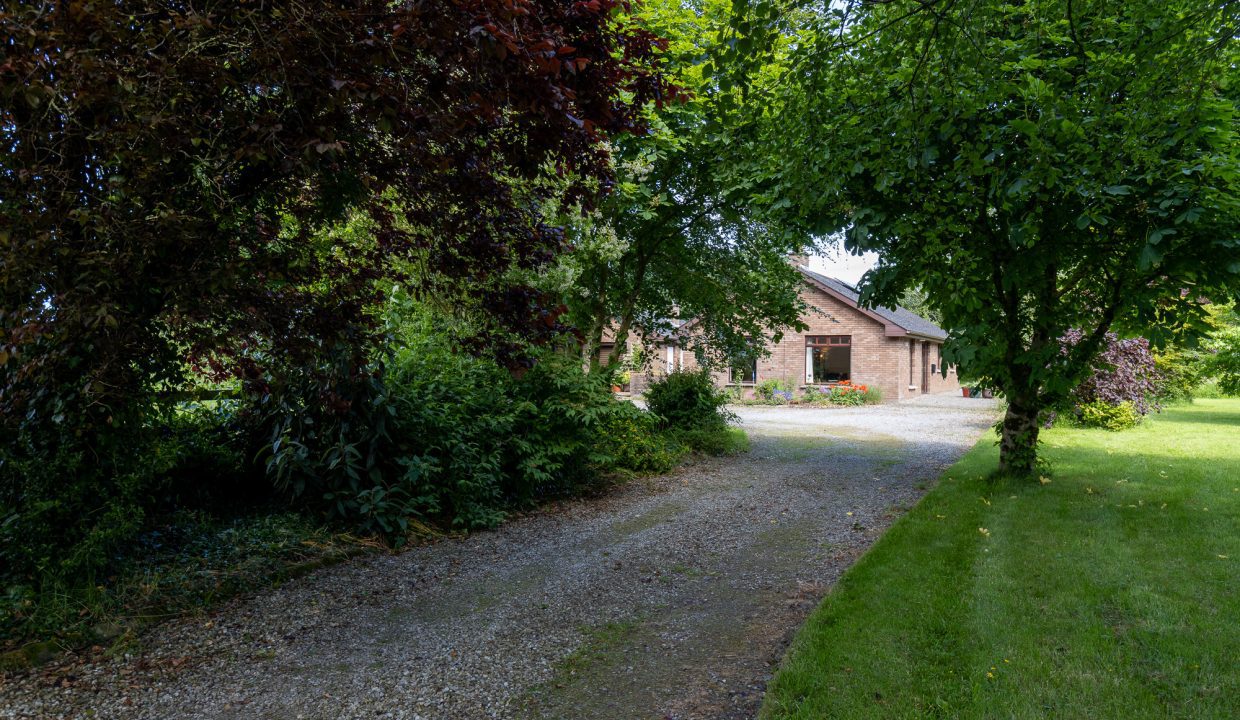 Castledermot-1