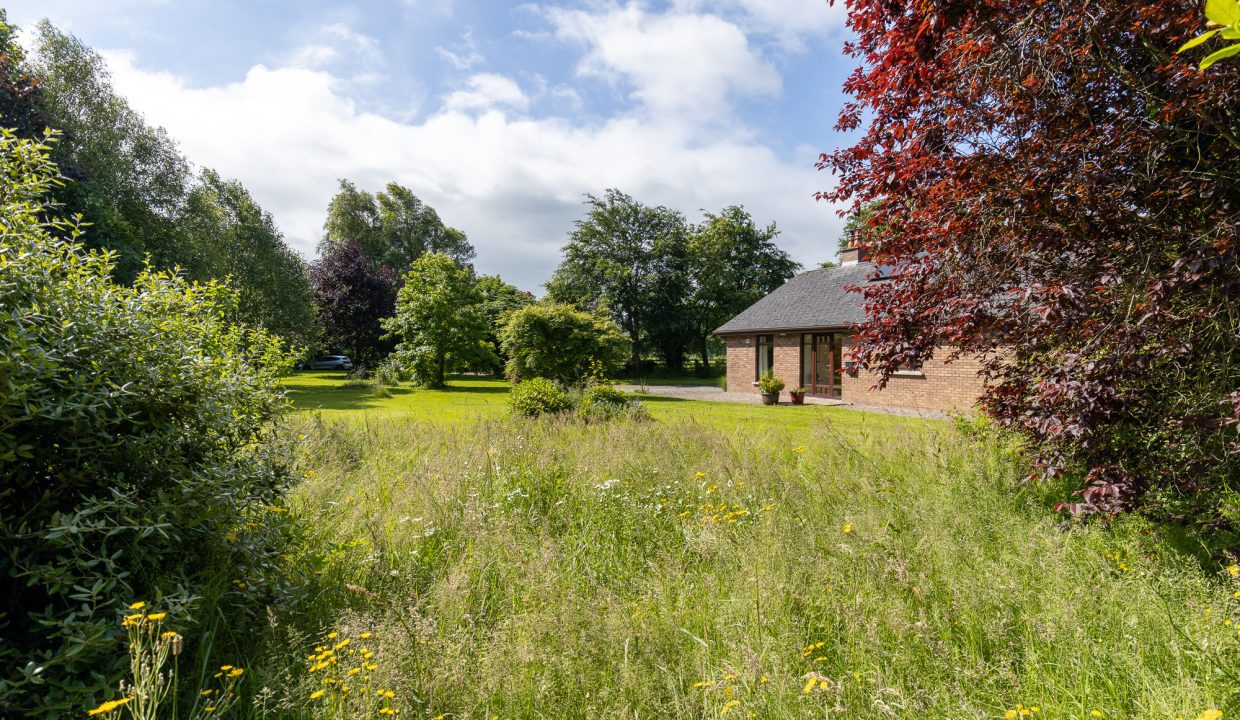 Castledermot-10