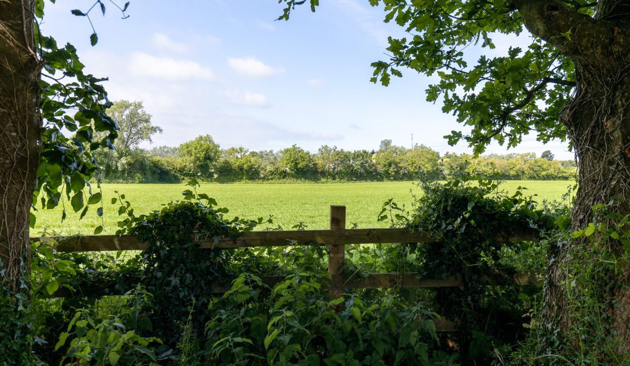 Castledermot-5