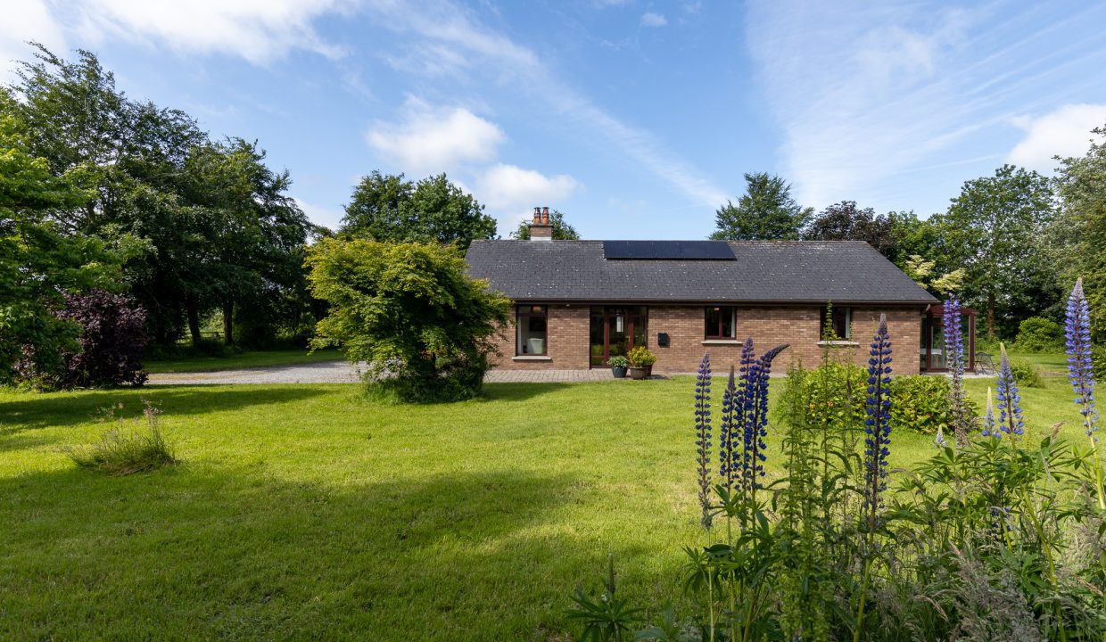 Castledermot-8