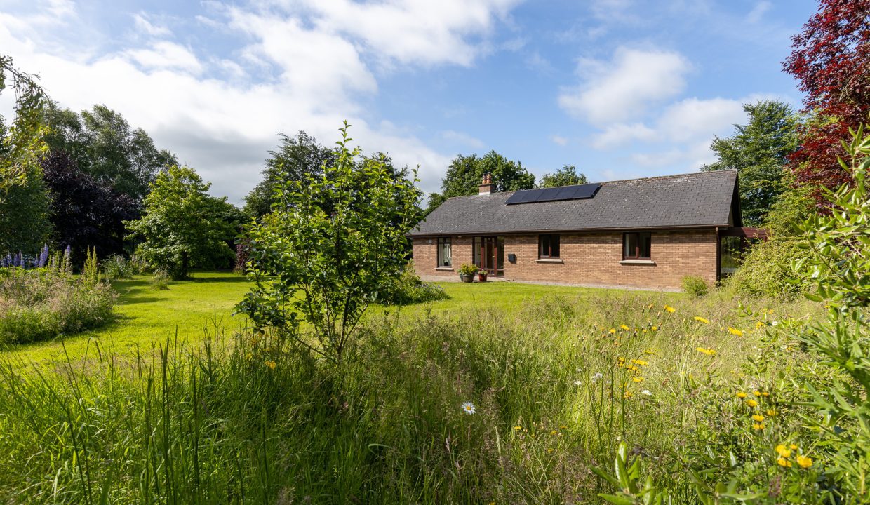 Castledermot-9