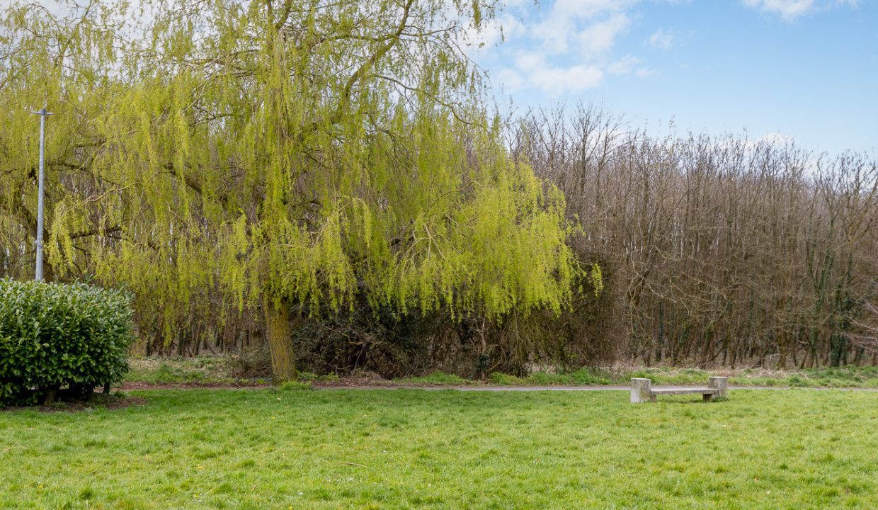 64_Burrin_Manor-21
